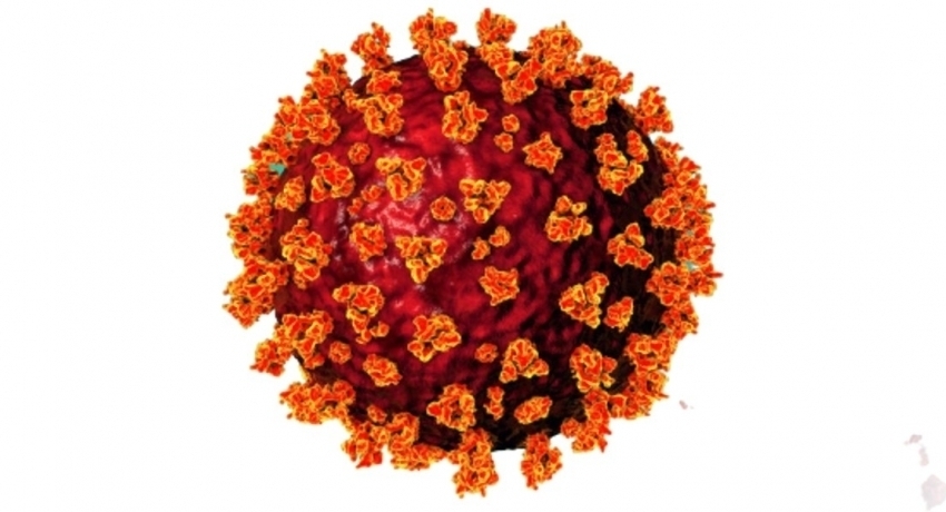 40,000+ COVID cases so far in July 2021 – NOCPCO