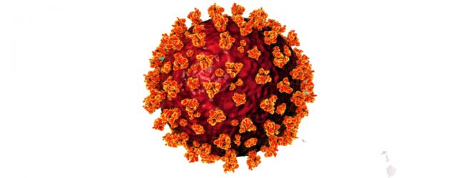 40,000+ COVID cases so far in July 2021 – NOCPCO