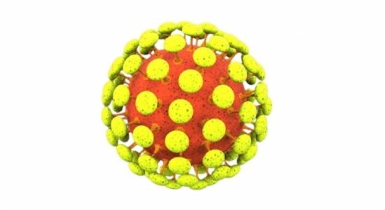 Delta variant appears to spread as easily as chickenpox