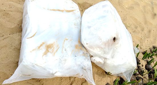 Rs. 32 mn worth Kerala Cannabis seized