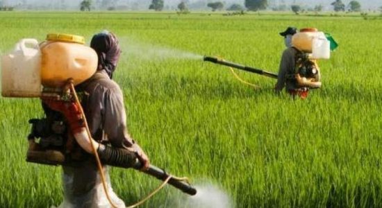 Ban on Chemical Fertilizer imports reversed?; Harsha questions govt on new gazette regulations