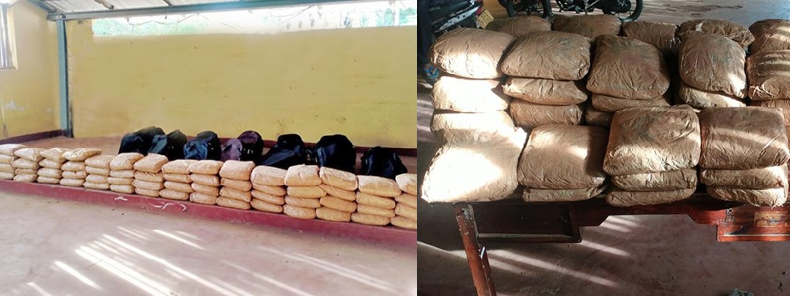 Kerala cannabis worth over Rs. 39 million seized