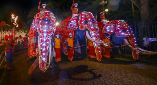 Randoli perahera to parade the streets today