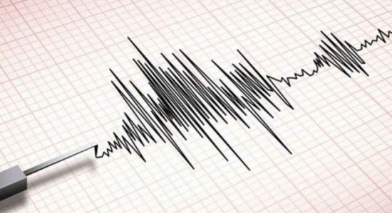 (VIDEO) Southern Sri Lanka Tremor caused zero damage