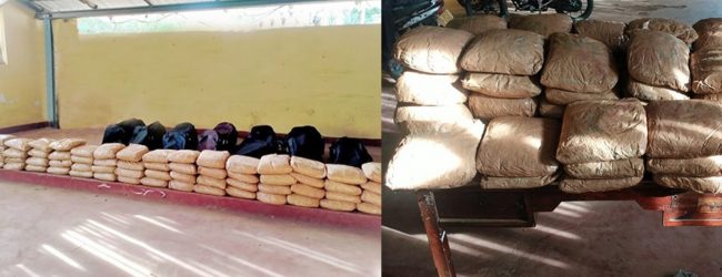 Kerala cannabis worth over Rs. 39 million seized