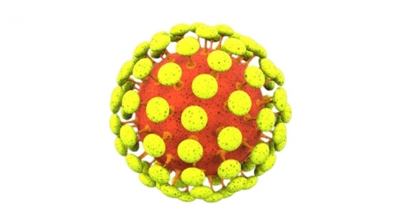 3,839 COVID-19 infections on Friday (20)