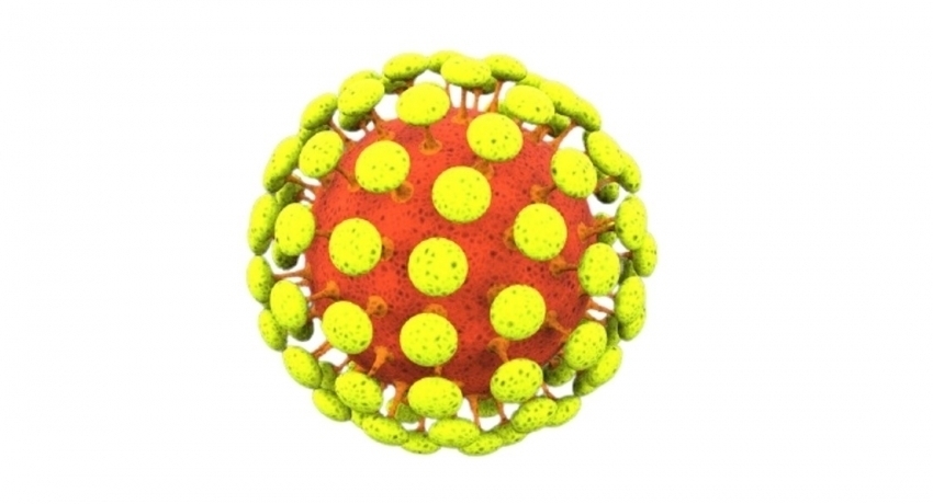 Sub-variants of the DELTA variant discovered – MRI