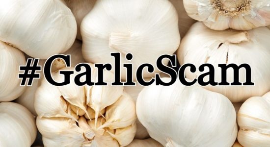 #GarlicScam :  Rogue Businessman Profited In Excess of Rs. 10 Mn