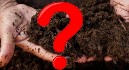 ‘Erwinia’ pathogen detected in Chinese Organic Fertilizer Sample