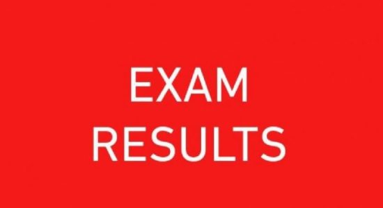 2020 O/L results will be released tonight (23)