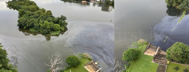 Diyawanna Oya Oil Spill, Intentional?  : Authorities launch investigation