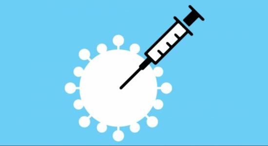 Conduct the immunization program rationally: AMS