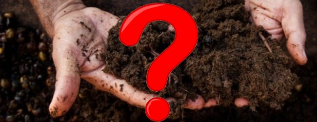 SL suspends imports of Chinese Organic Fertilizer