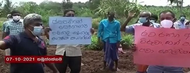 Fertilizer shortage: Farmers engage in protests