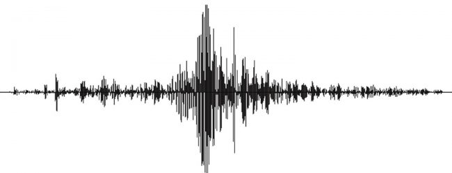 Pakistan earthquake kills 20 in Balochistan province