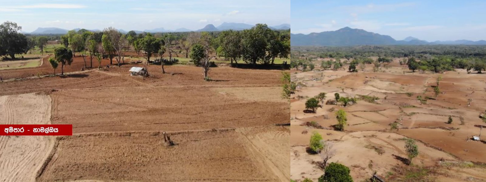 Vast tracts of Agri-land lay barren