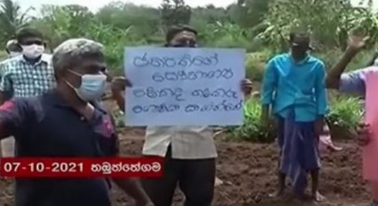 Fertilizer shortage: Farmers engage in protests