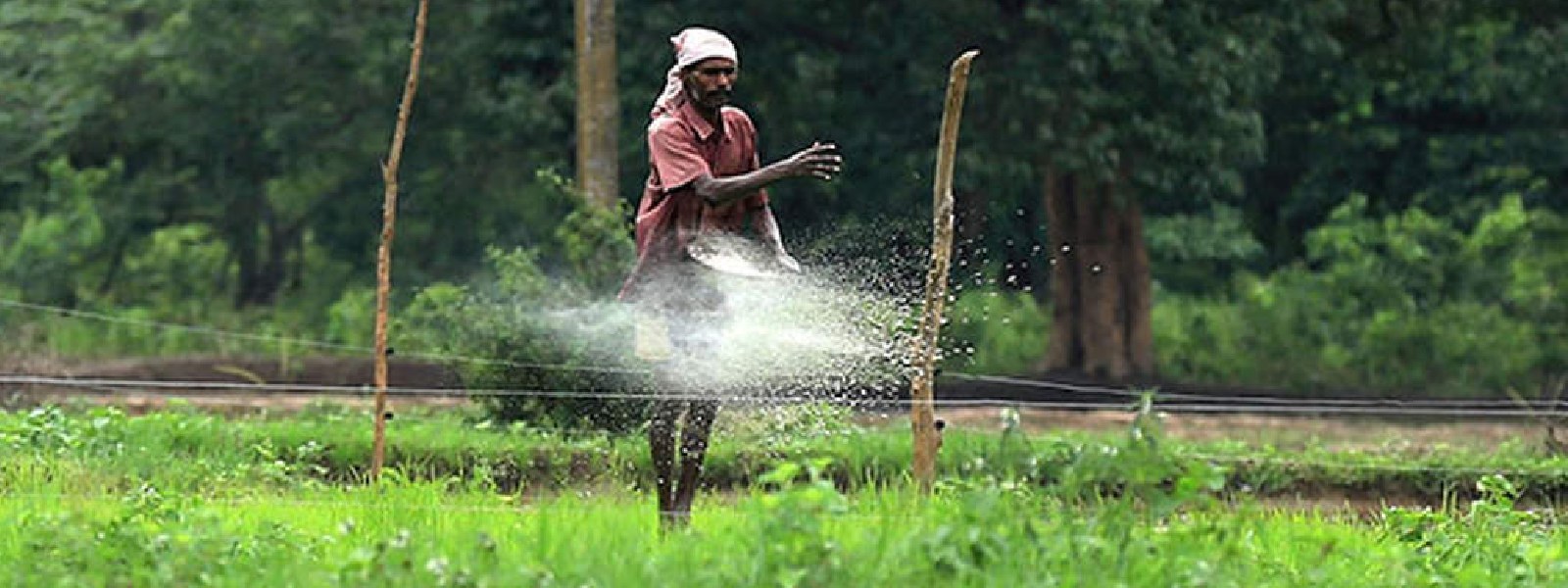 Rs. 40,000Mn allocated for farmer compensation