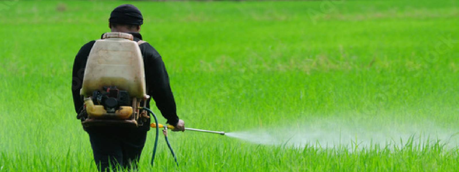 Sri Lanka to re-test liquid fertilizer & probe issues in local fertilizer