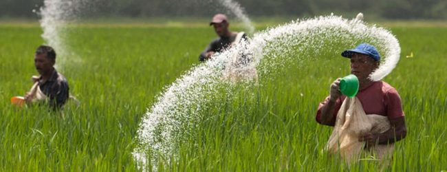 Sri Lanka imports 30,000 MT of organic fertilizer for Maha Season