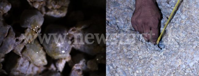Serendipity Sapphire flown to Switzerland with No Insurance