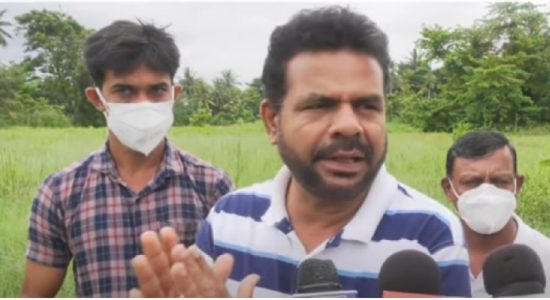 Govt damaged Agri Sector : Activist