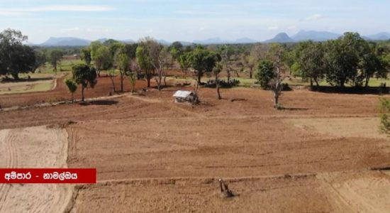 Vast tracts of Agri-land lay barren due to fertiliser crisis