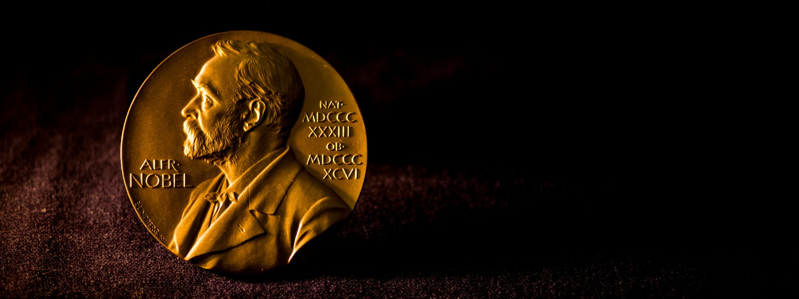 Americans win 2021 Nobel Prize in Medicine