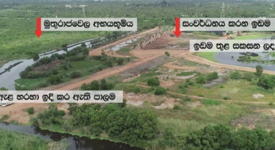 Muthurajawela Wetlands Project suspended 