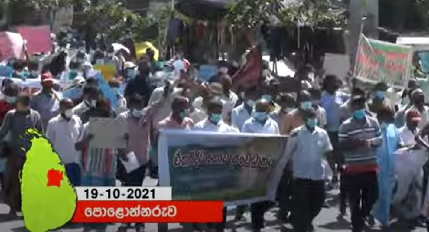(VIDEO) Massive farmer protests in Sri Lanka over fertilizer shortage – #FarmerProtestSL