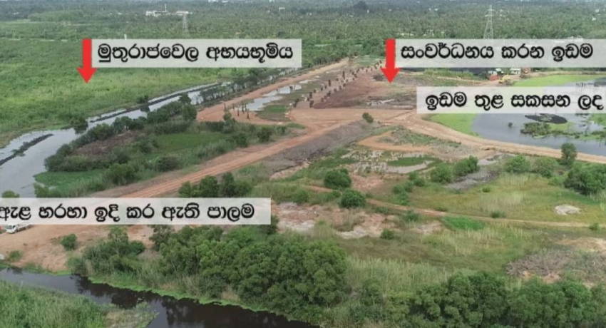 Muthurajawela Wetlands Project suspended pending inquiry, following News 1st Expose’