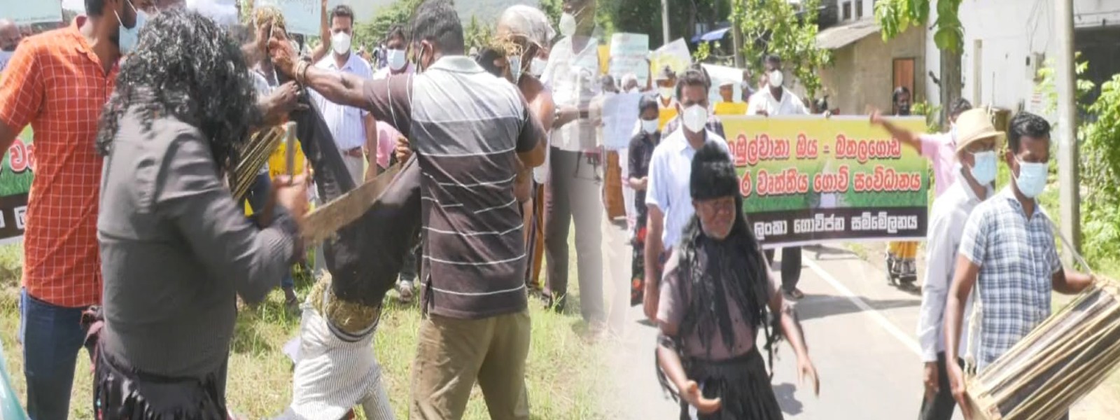 Sri Lanka farmers continue protest over fertilizer shortage – #FarmerProtestSL