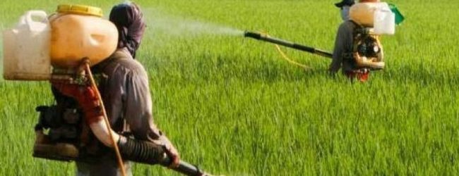 Chemical fertilizer companies behind protests: Mahindananda