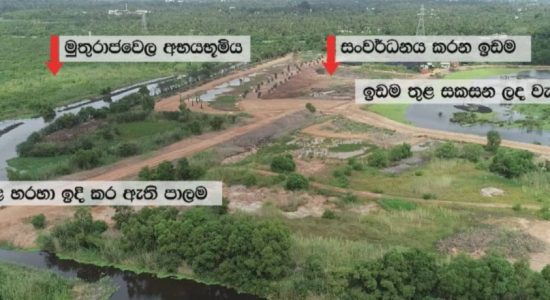 Report on Muthurajawela wetland construction today
