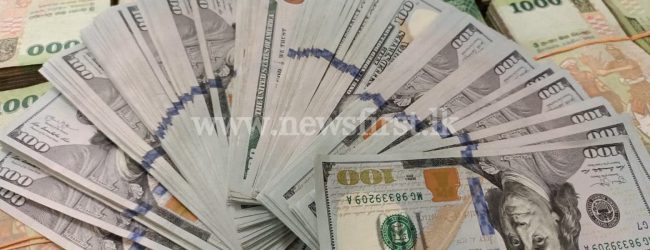 Colombo businessman nabbed for attempting to smuggle Rs. 14 Mn to Dubai