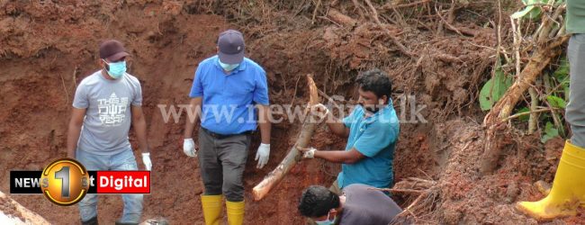 Carcass of tusker found buried in Puttlam; suspected to have been killed