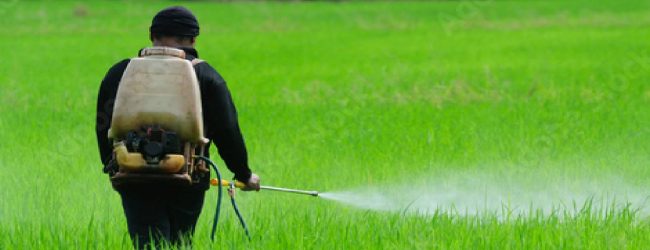 Plans underway to import another 500,000 liters of nano nitrogen fertilizer