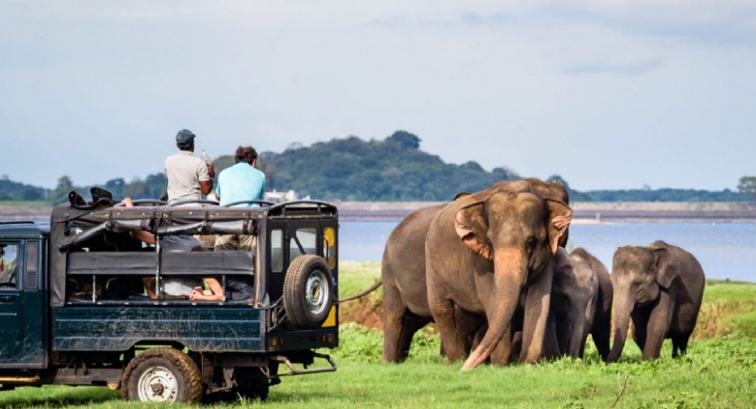 Tourism strategy of Sri Lanka must change: Marikkar
