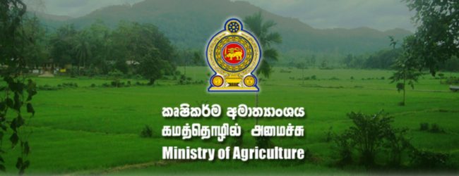 Agriculture Ministry to assess crop damage due to heavy rains