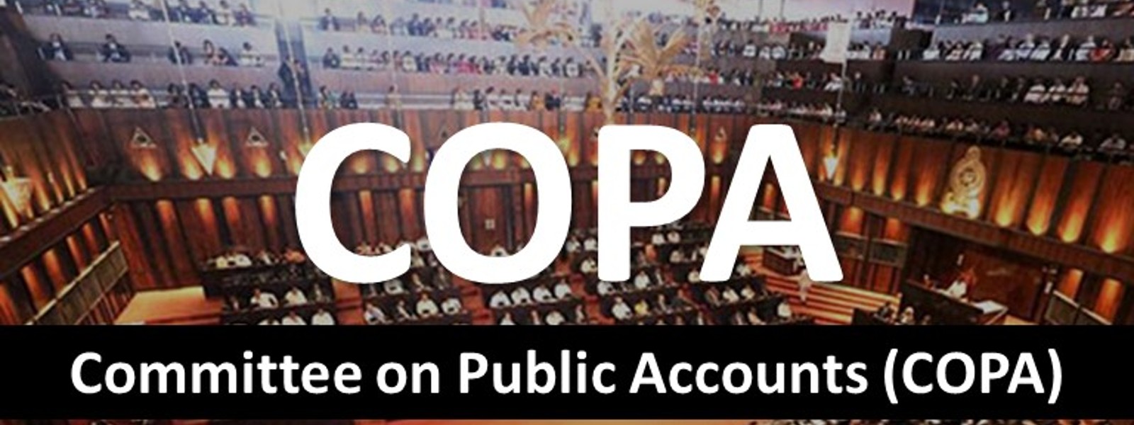 COPA appoints two sub-committees to look into discrepancies within Health Ministry