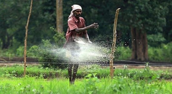 Indian Nano Fertilizer : Imports delayed
