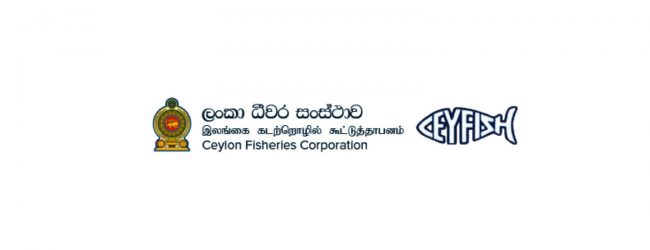 Fisheries Corporation Director dismissed