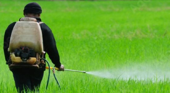 Sri Lanka to re-test liquid fertilizer & probe issues in local fertilizer