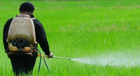Gazette cancelling fertilizer import ban signed by Finance Minister
