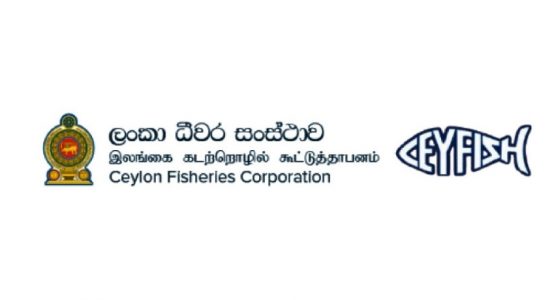 Fisheries Corporation Director dismissed
