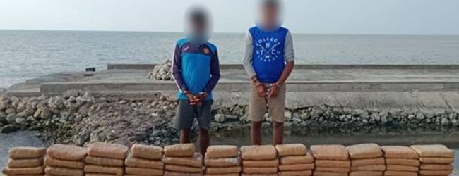 Navy apprehends two with Kerala Cannabis worth Rs. 155Mn