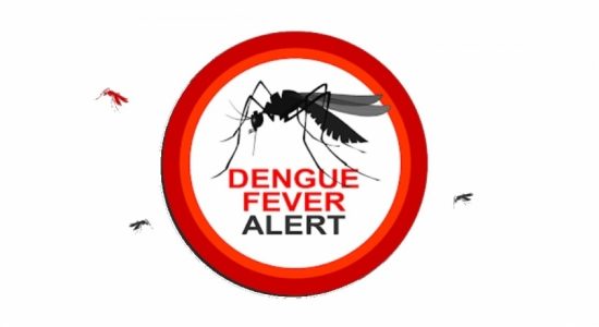 11 districts designated with 'high risk' of Dengue
