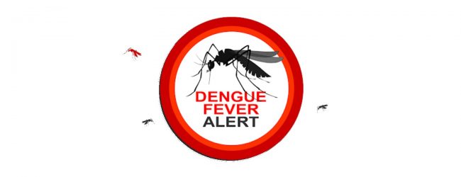 Over 3900 Dengue patients so far in 2022