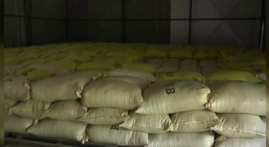 Rice mills inactive due to harvest shortage