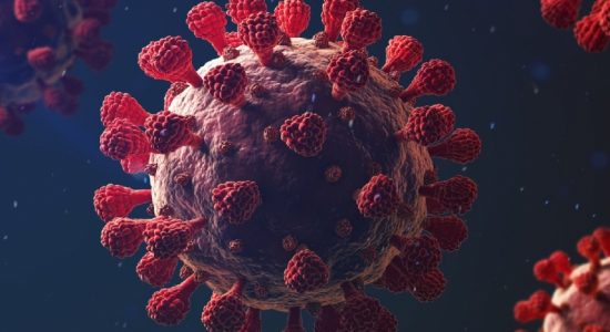 Existing COVID prevention guidelines extended